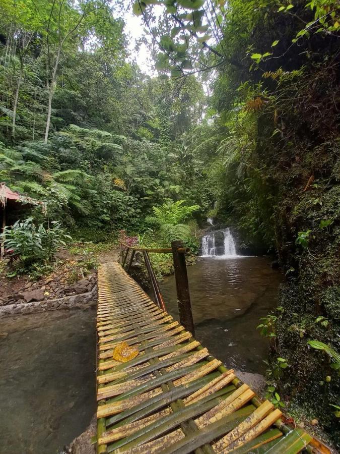 Munduk Tutub Waterfall View Eksteriør billede