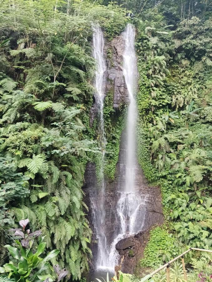 Munduk Tutub Waterfall View Eksteriør billede