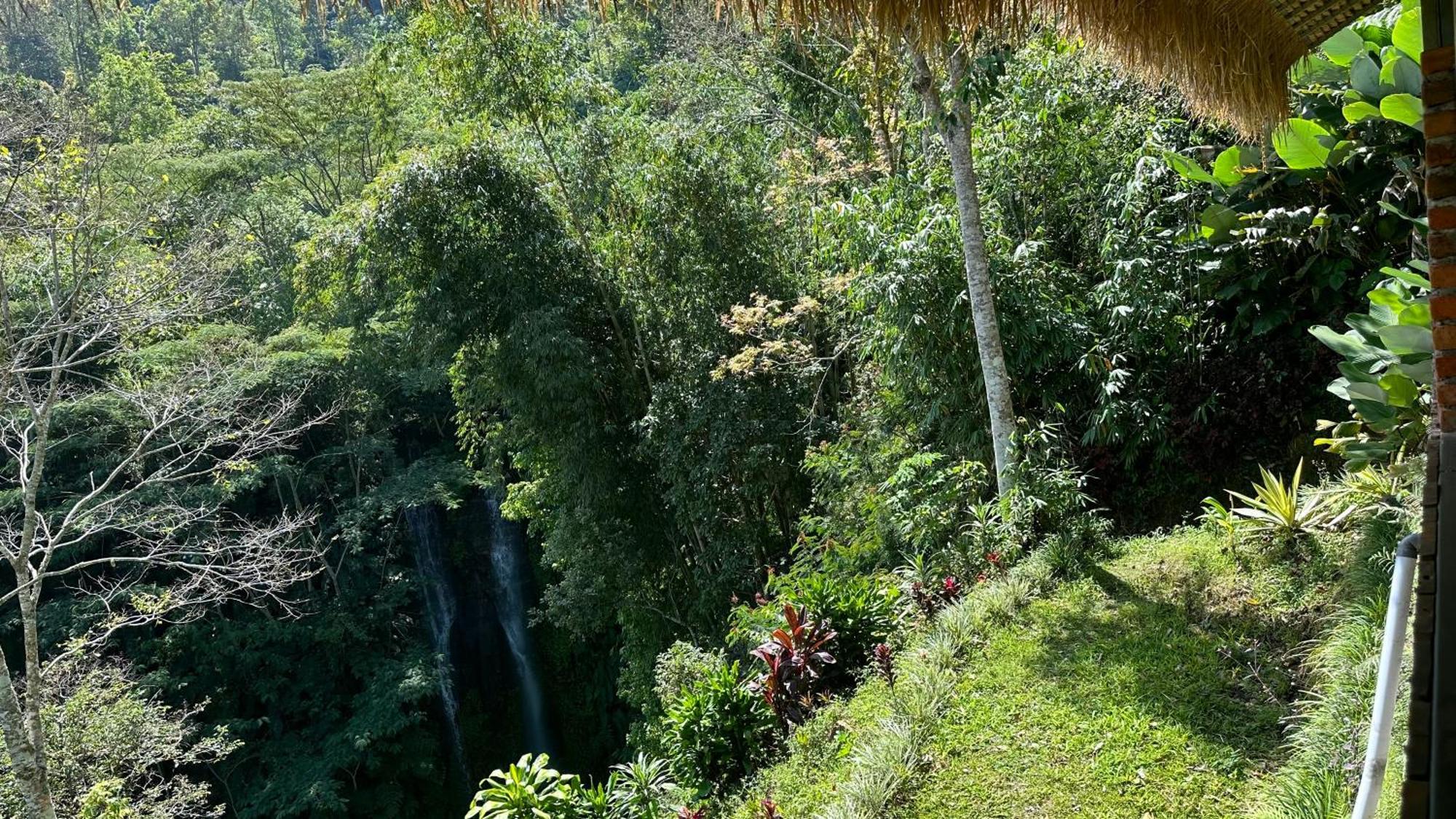 Munduk Tutub Waterfall View Eksteriør billede